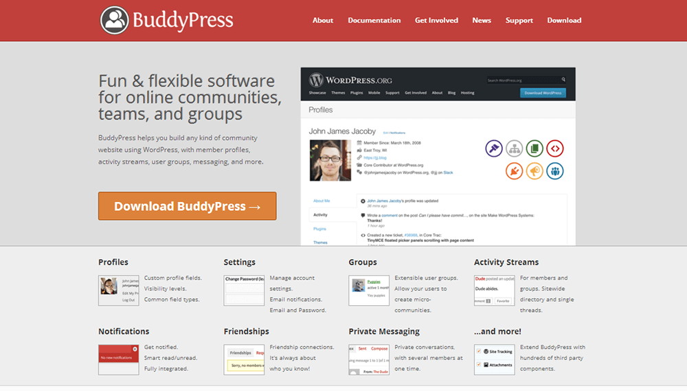 BuddyPress - Online Community