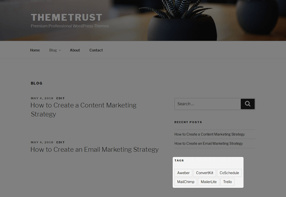WordPress标签 WordPress标签