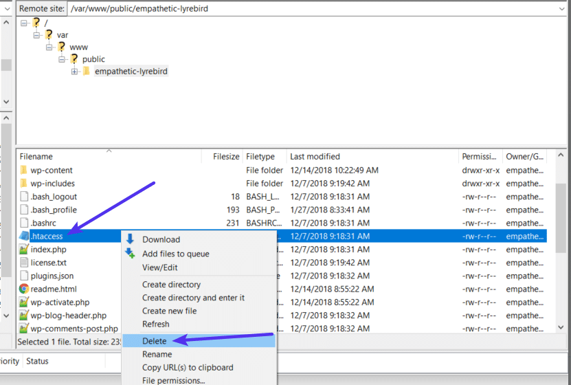 fix-403-forbidden-error-wordpress-htaccess