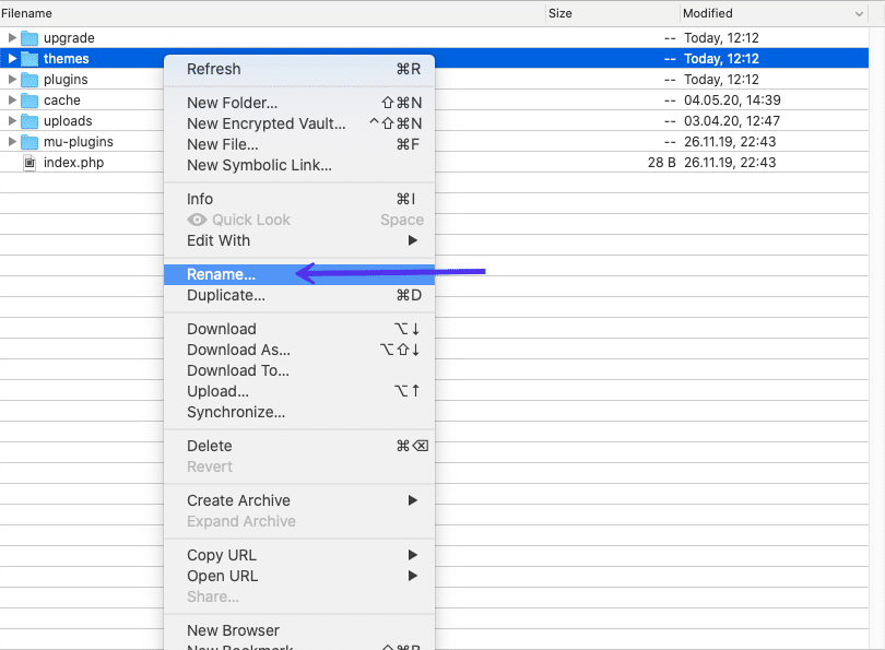 重命名主题文件夹