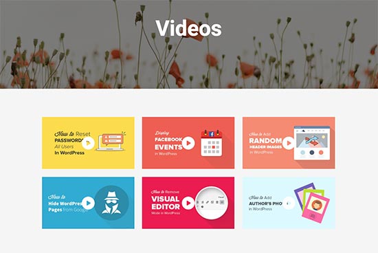 Envira Gallery插件