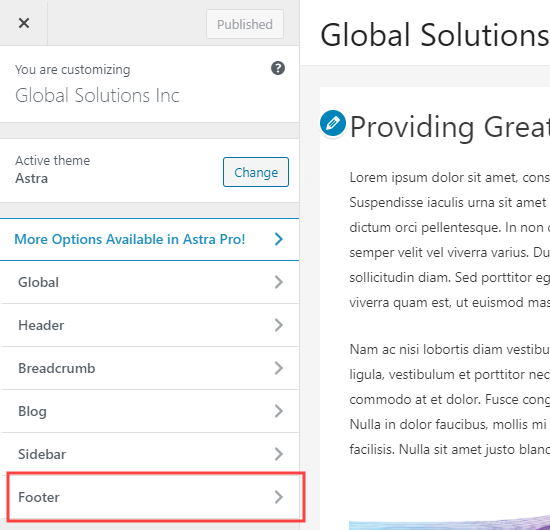 theme-customizer-edit-footer