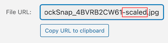 删除大图片链接的scaled 删除大图片链接的scaled