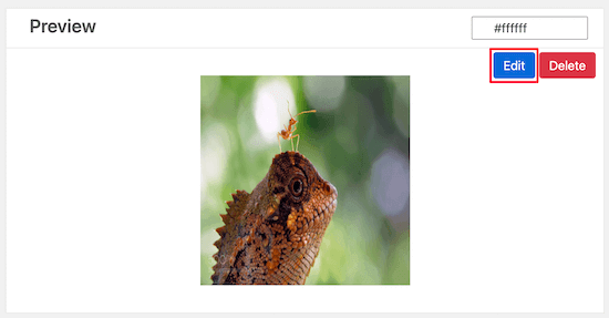 Image Hover Effects Ultimate图片效果预览 Image Hover Effects Ultimate图片效果预览