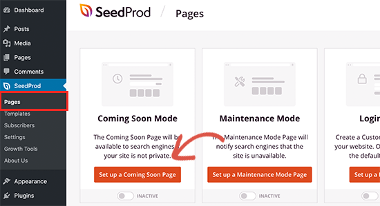 SeedProd插件Coming Soon模式 SeedProd插件Coming Soon模式