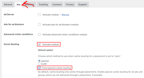 Advanced Ads插件缓存设置 Advanced Ads插件缓存设置
