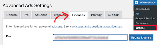 Advanced Ads插件授权 Advanced Ads插件授权