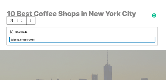 aioseo-breadcrumb-shortcode aioseo-breadcrumb-shortcode