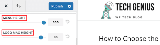 如何修改WordPress网站Logo尺寸大小-4