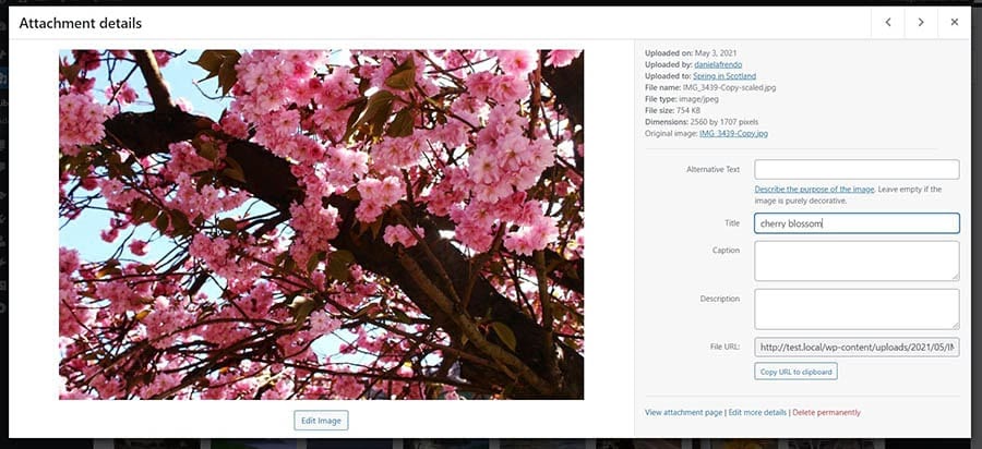 更改WP图像大小