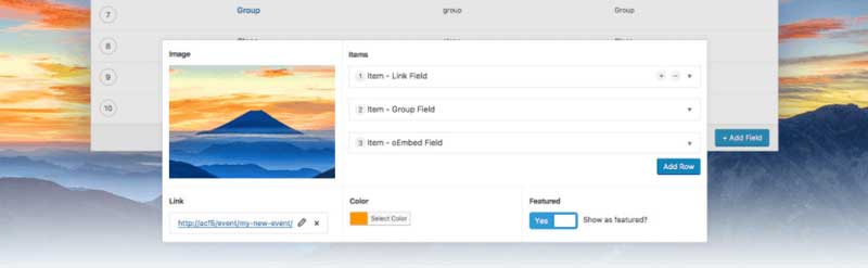 高级自定义字段插件