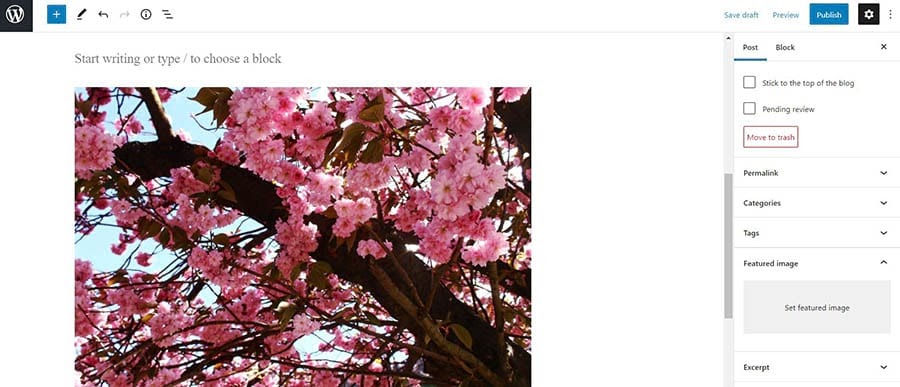 Envira Gallery插件