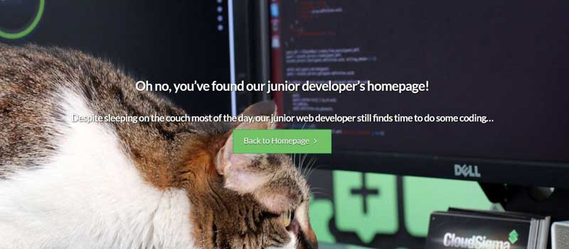 WordPress网站404错误页面教程-2