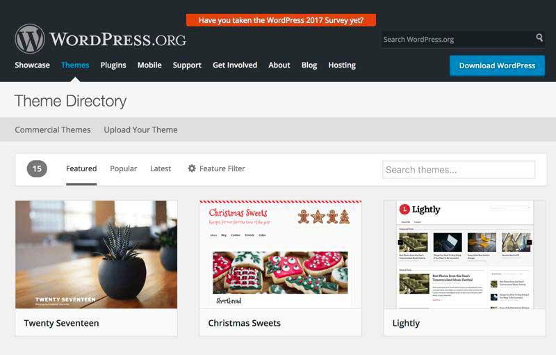 什么是WordPress主题及如何挑选一款好主题-2