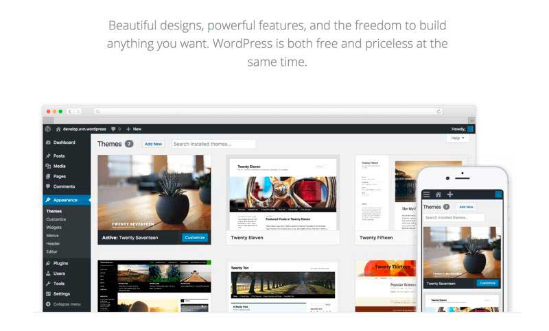 什么是WordPress主题及如何挑选一款好主题-1