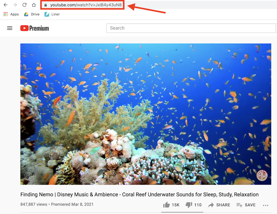 复制YouTube视频链接