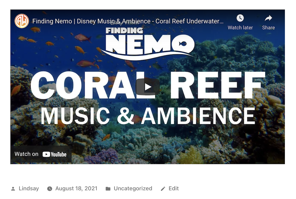 YouTube嵌入视频预览