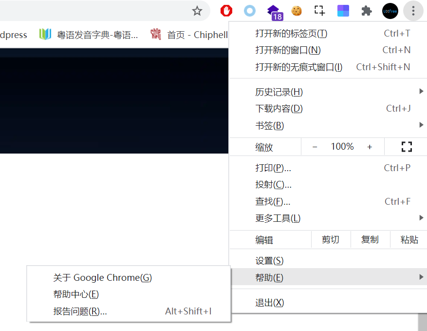 打开谷歌浏览器的关于部分