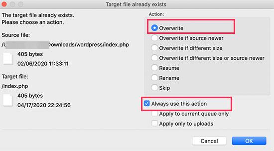 如何解决WordPress提示“您的网站上存在严重错误”-1