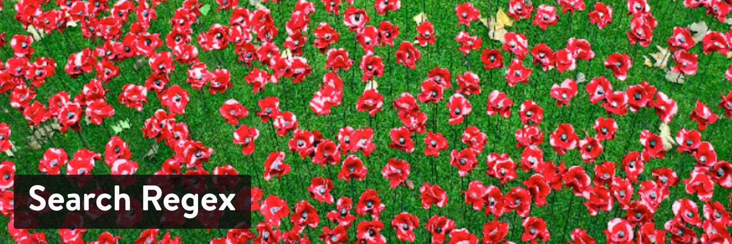 WordPress插件-Search Regex