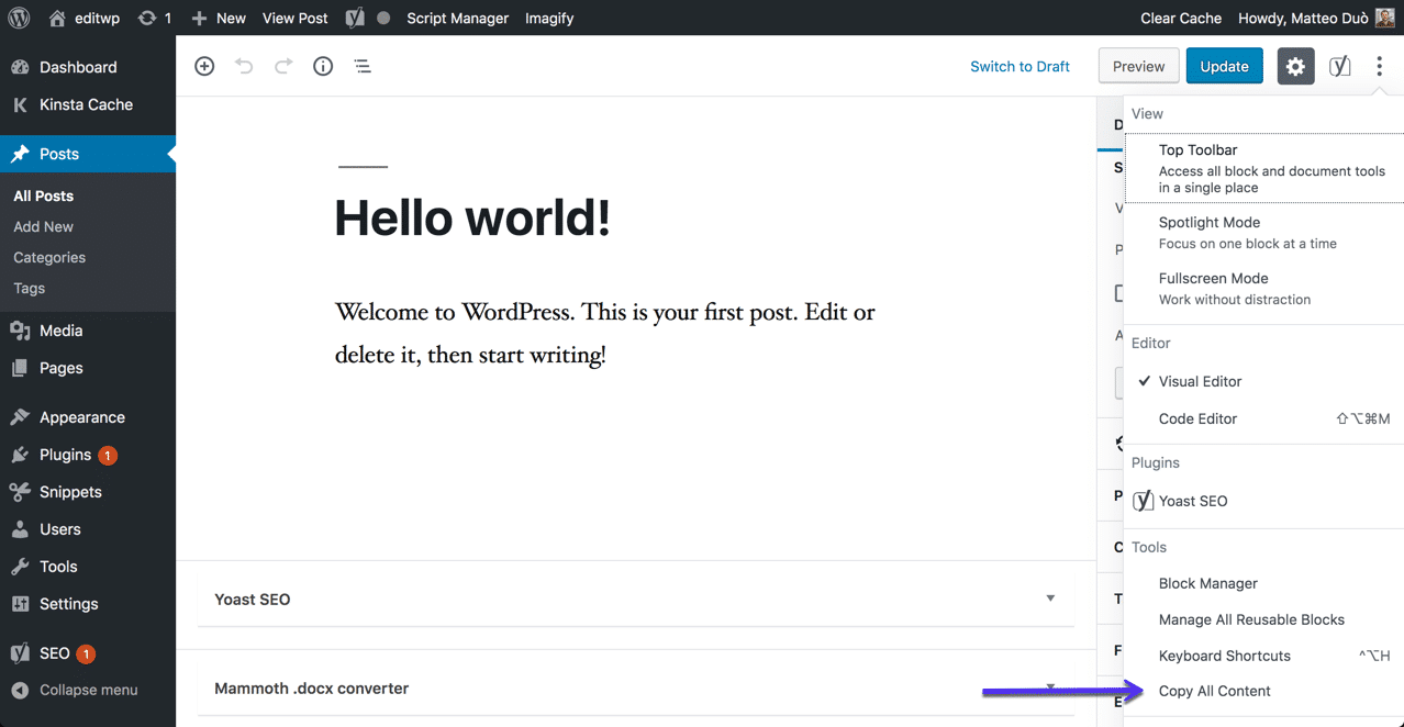 WordPress中的复制所有内容选项