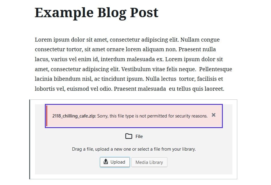 不允许的文件类型