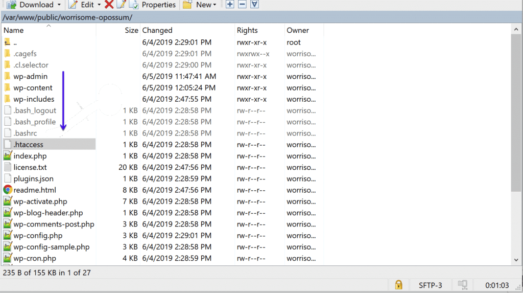 Apache服务器上的.htaccess文件
