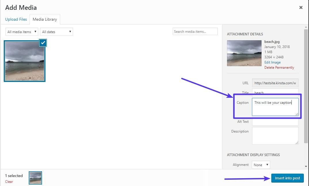 选择特定图像以为其添加说明文字
