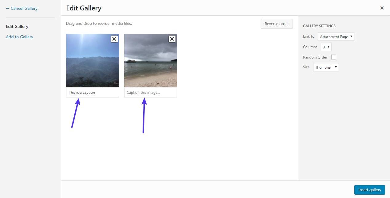 编辑WordPress相册图像的说明文字