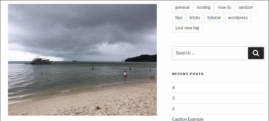 插件创建的说明文字悬停效果示例