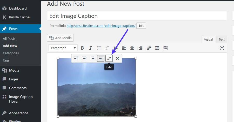 如何编辑WordPress图像