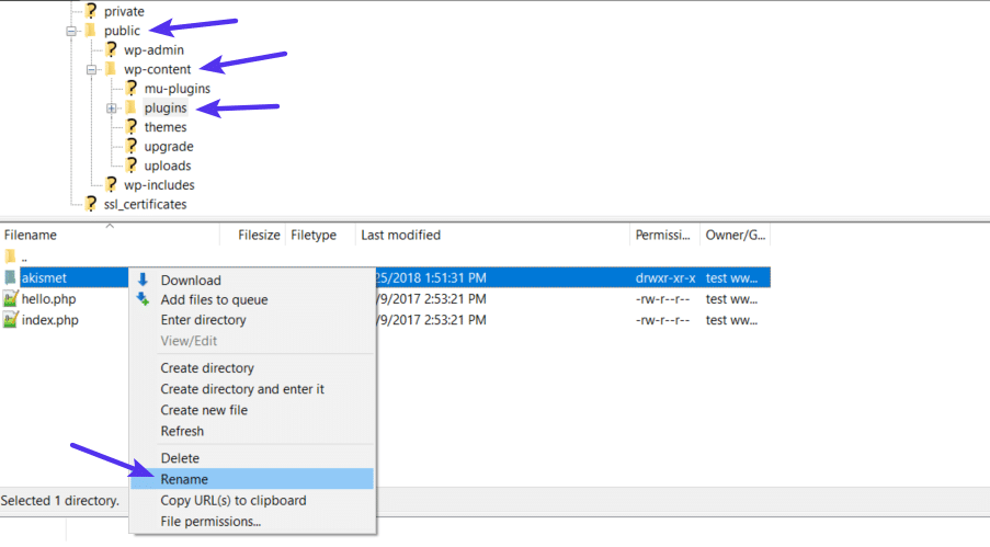通过FTP禁用单个插件