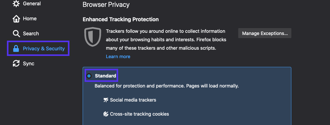 确保为增强跟踪保护选择了标准选项