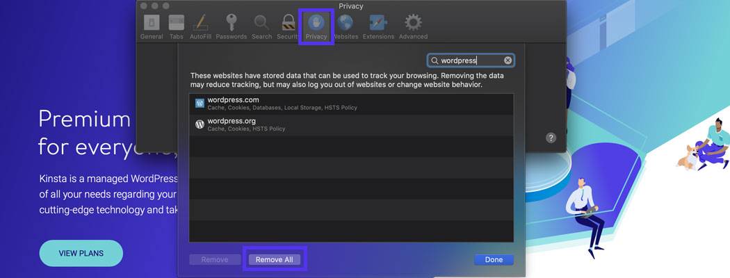 单击按钮从Safari中删除所有cookie