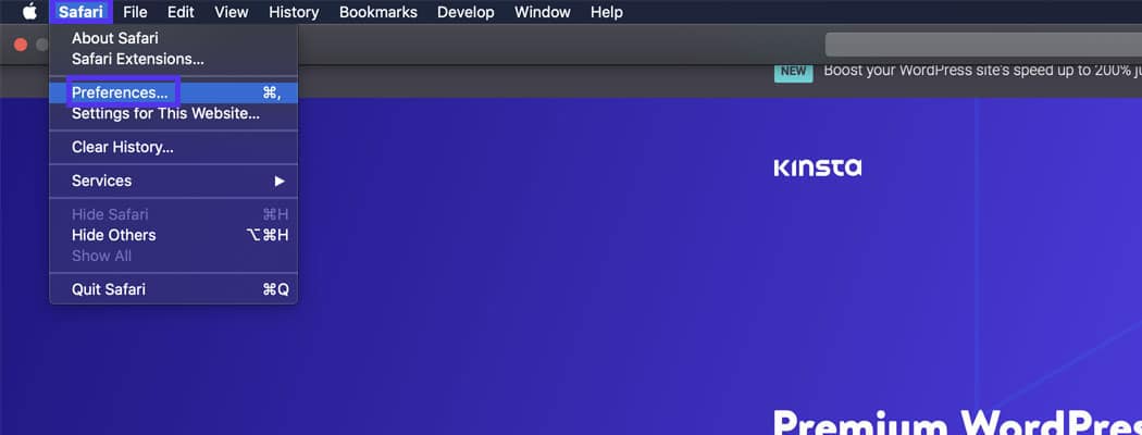 您可以通过选择首选项来检查浏览器的设置