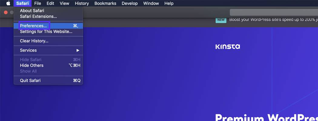 在Safari中打开首选项选项