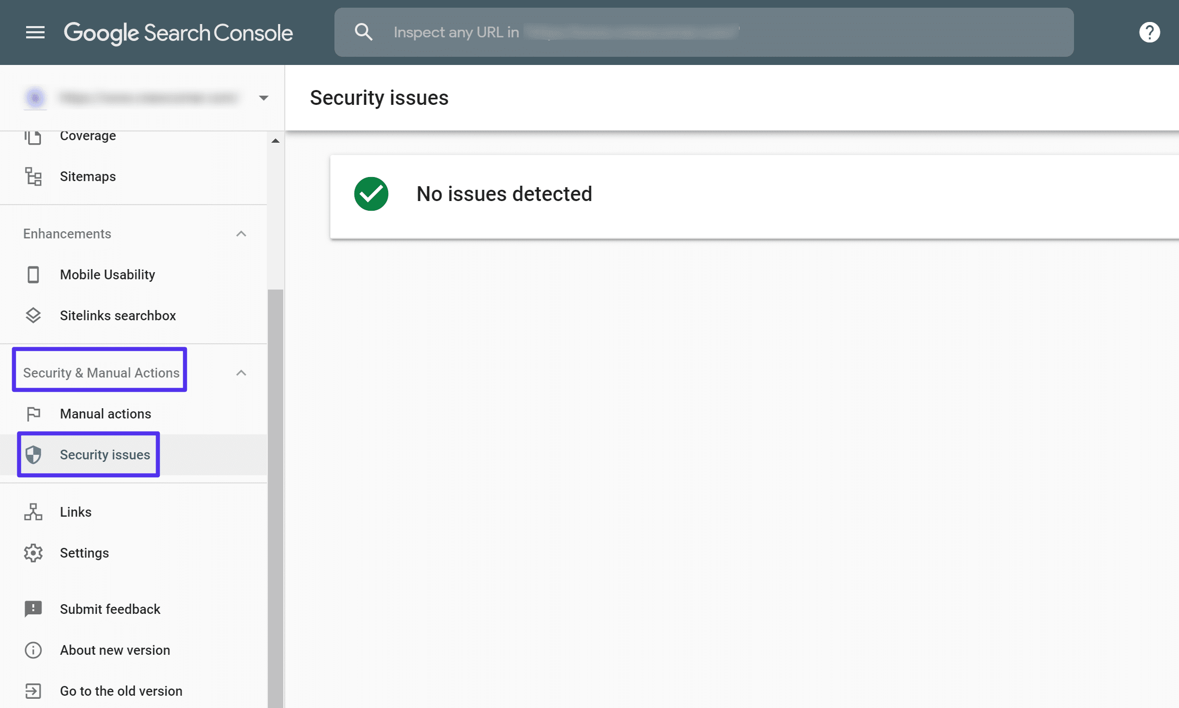 Google Search Console中存在安全问题