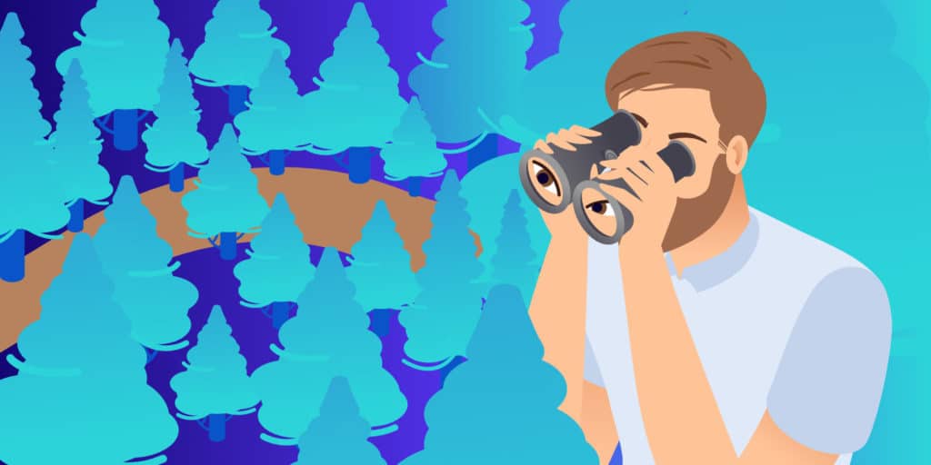 如何执行WordPress数据库搜索和替换