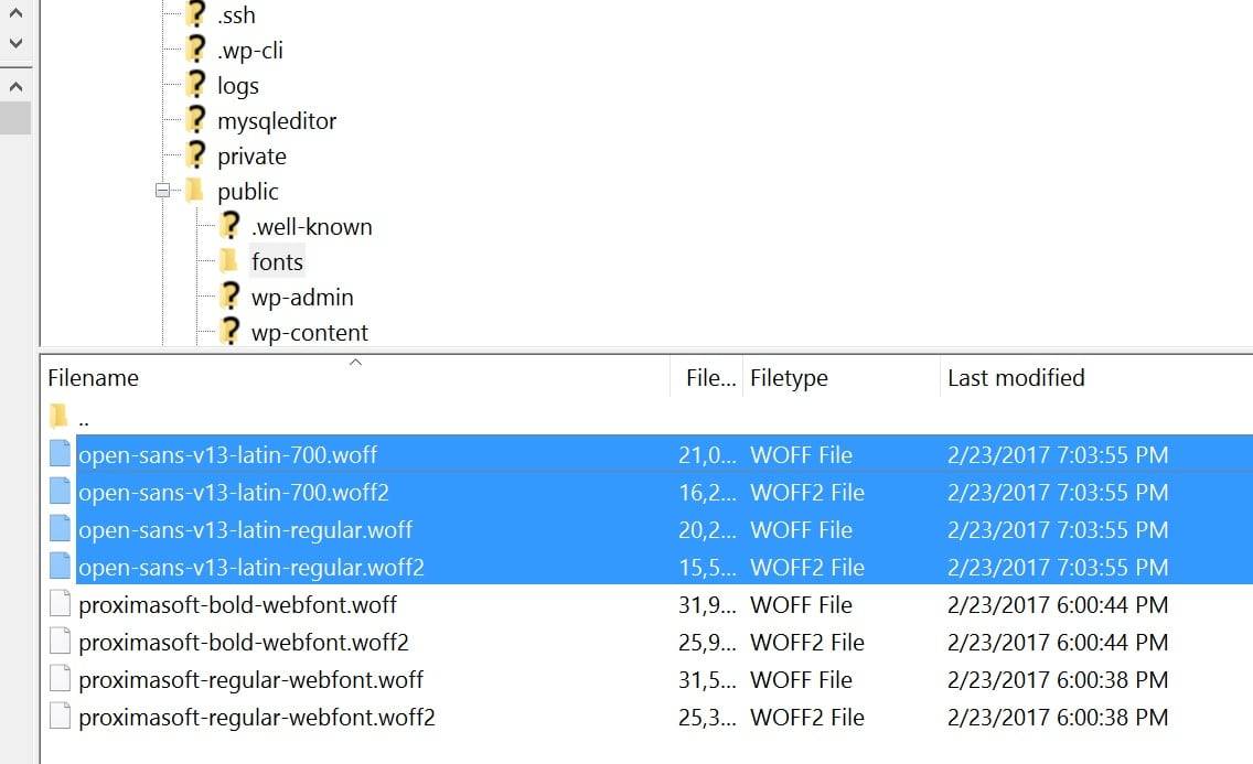 将Google字体上传到网络服务器
