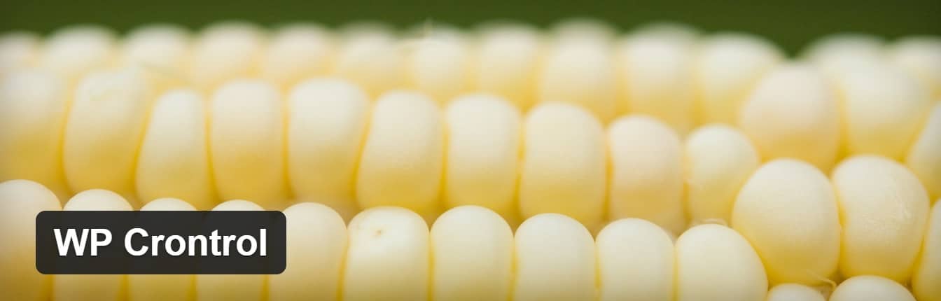 WordPress插件-WP Control