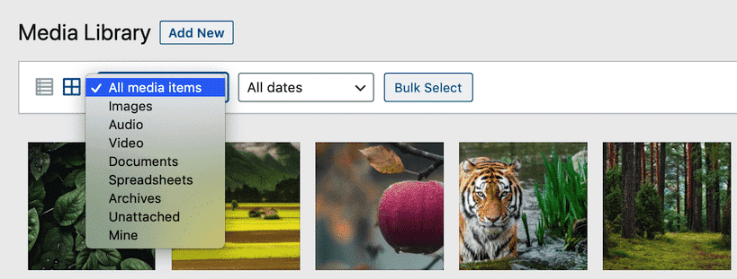 WordPress媒体库完整指南及小技巧-5 WordPress媒体库完整指南及小技巧-5