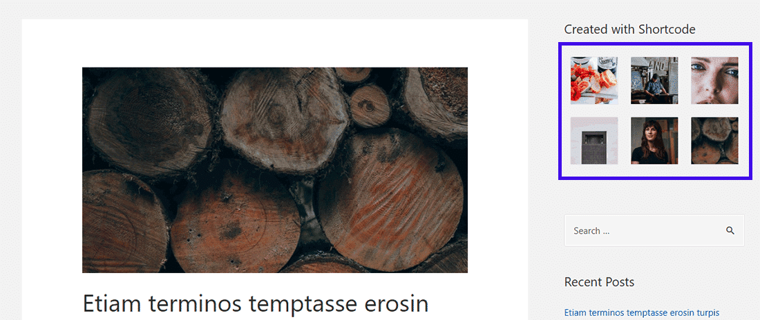 可以在侧边栏中看到简码输出(图库) 可以在侧边栏中看到简码输出(图库)