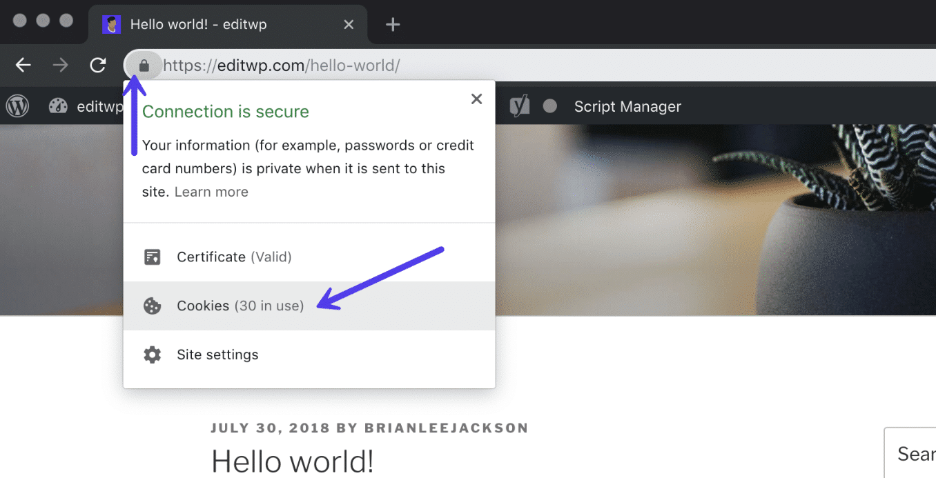 正在使用的Cookie