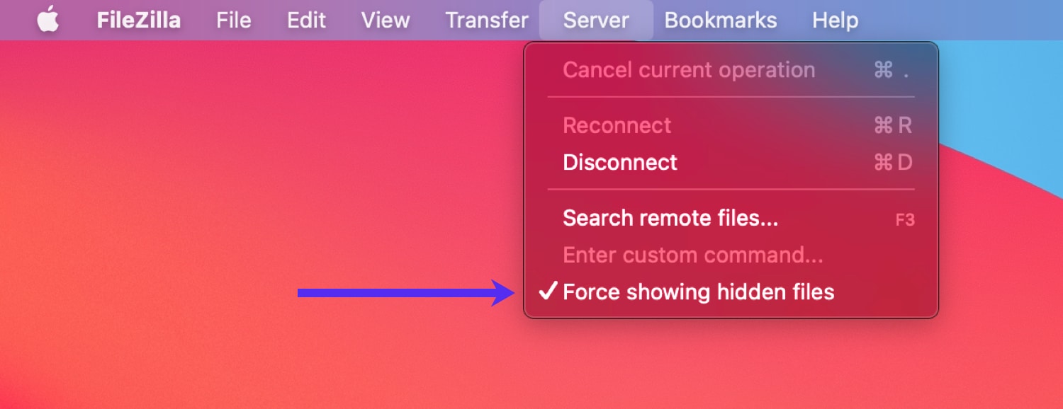 配置FileZilla以显示隐藏文件