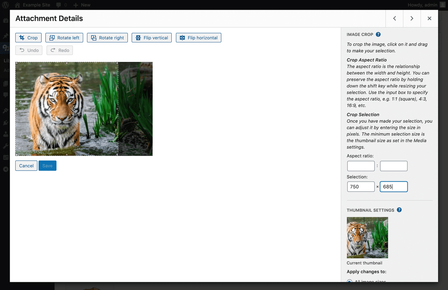 在WordPress中设置图像裁剪选择尺寸 在WordPress中设置图像裁剪选择尺寸