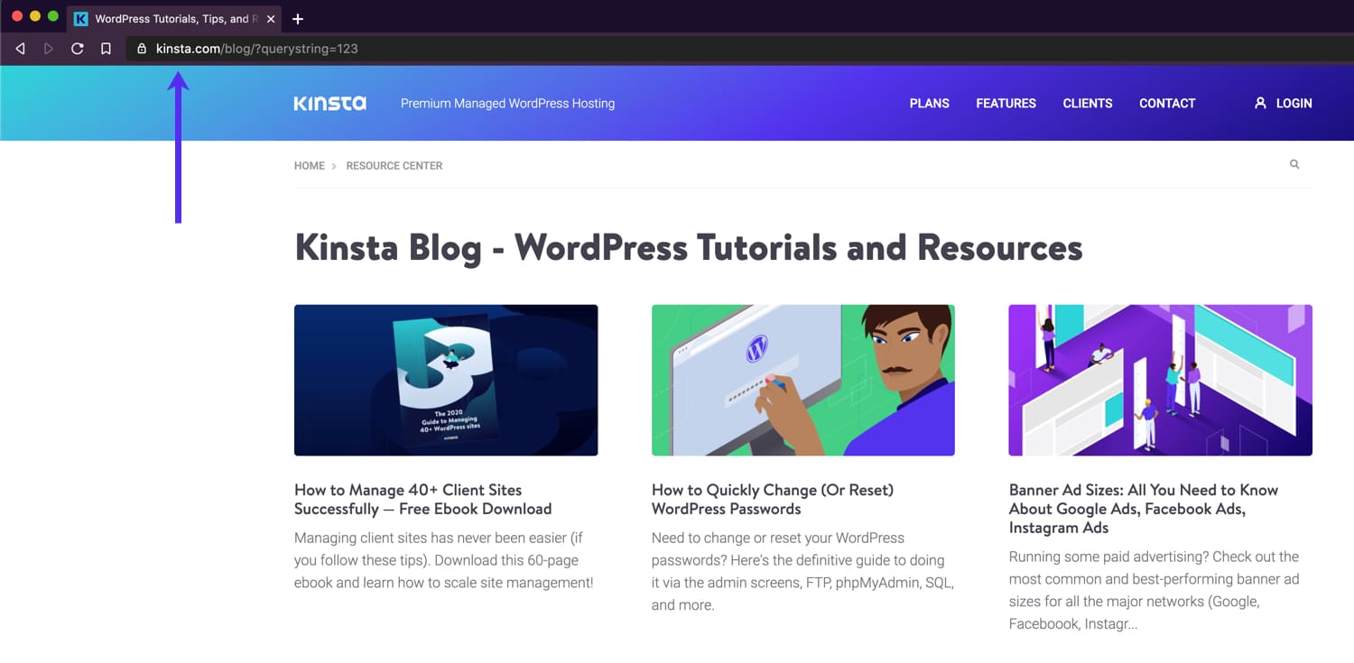 带有查询字符串 (?querystring=123) 的URL