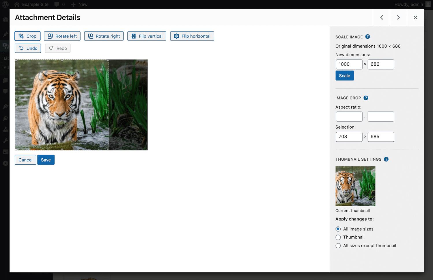 WordPress中的图像裁剪 WordPress中的图像裁剪