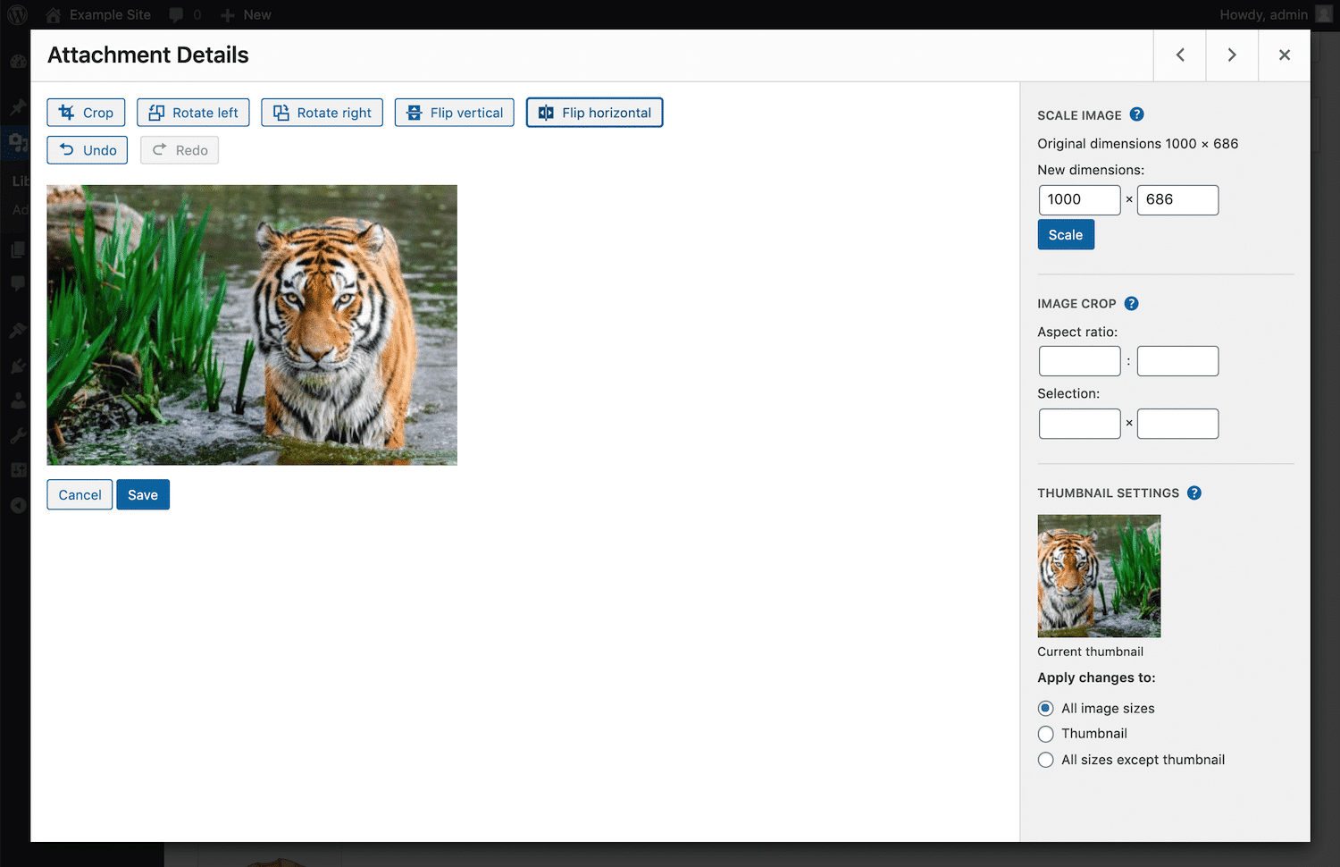 WordPress中的图像水平翻转 WordPress中的图像水平翻转