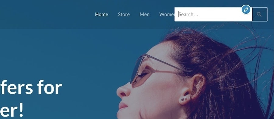 WordPress – 添加了主题设置的搜索栏