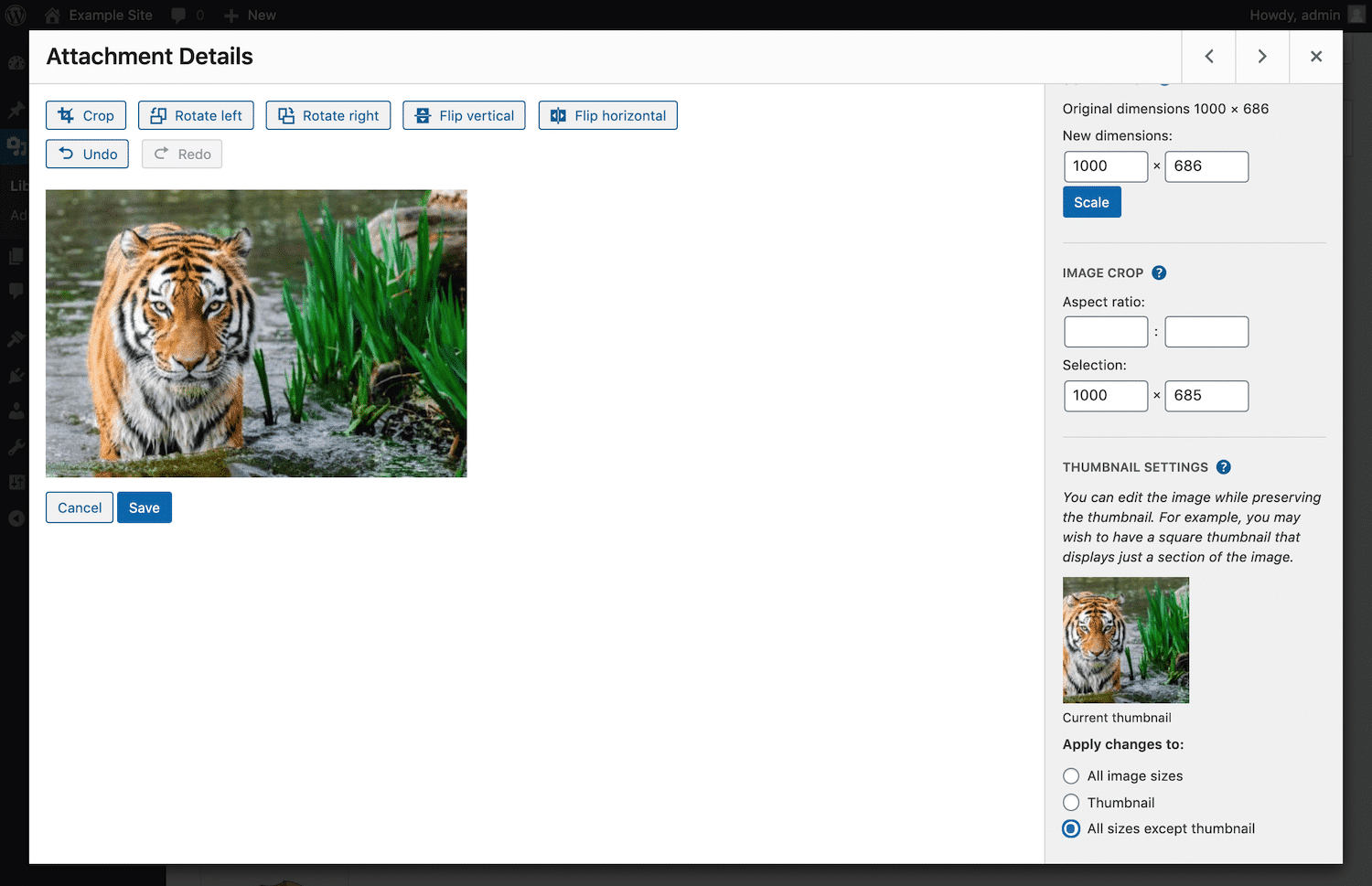 WordPress图像编辑器中的缩略图设置